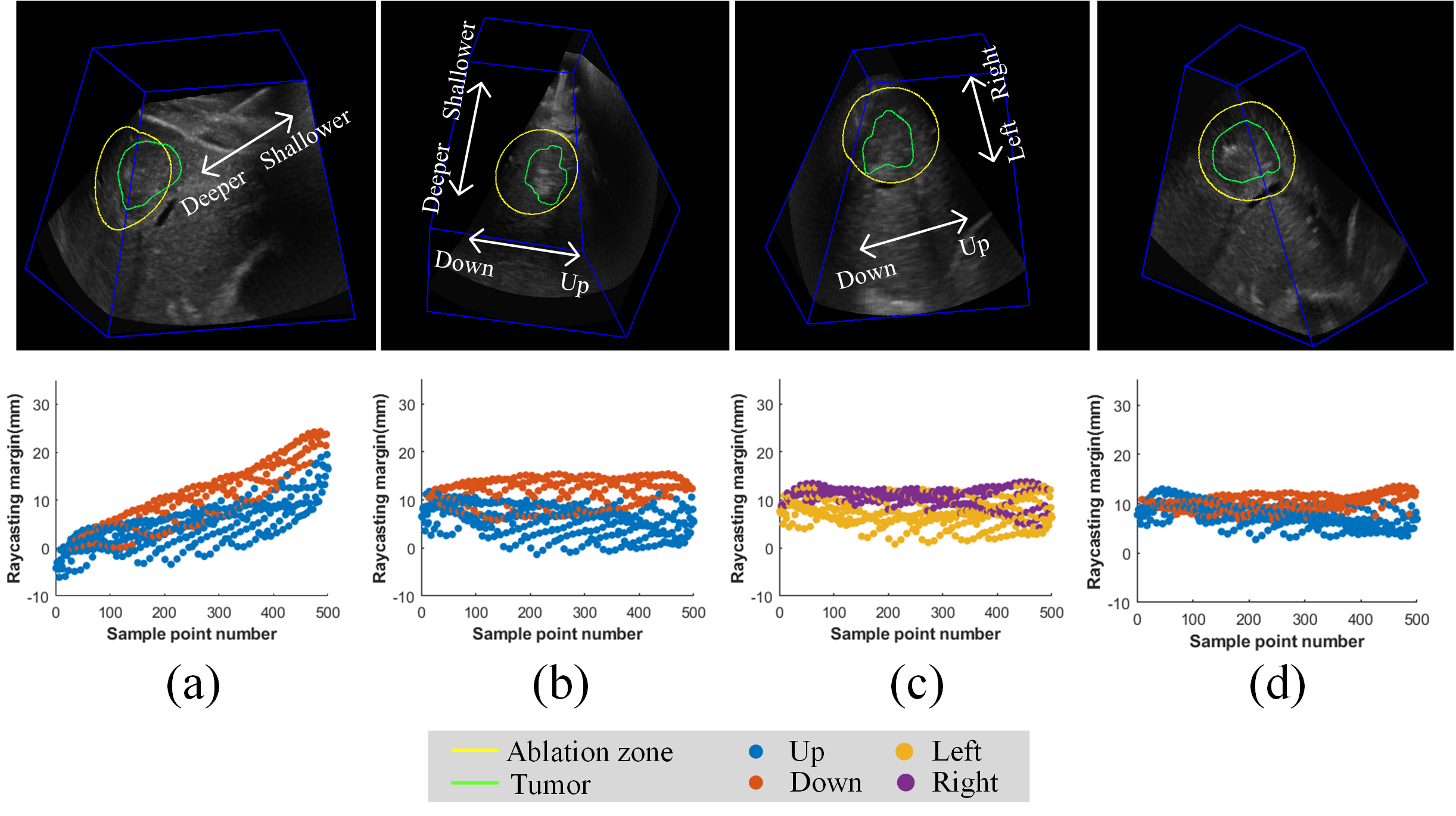 3DLIVUS assessment